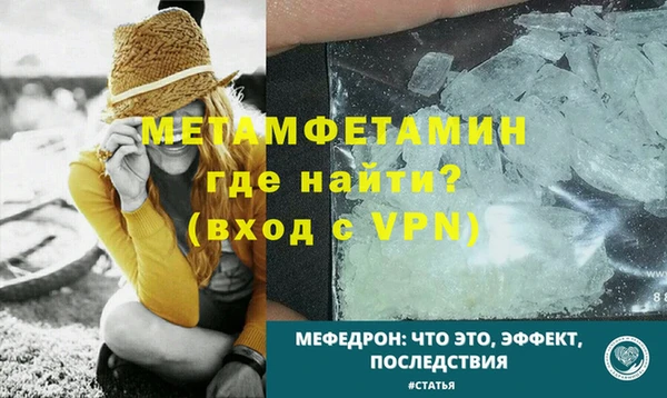 ГАЛЛЮЦИНОГЕННЫЕ ГРИБЫ Богданович