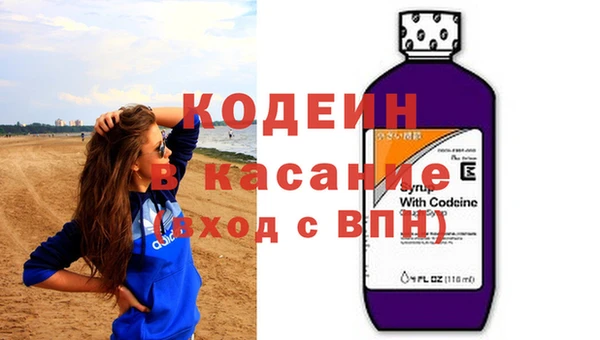 ГАЛЛЮЦИНОГЕННЫЕ ГРИБЫ Богданович