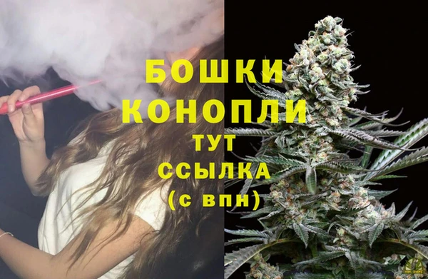 тгк Богородск