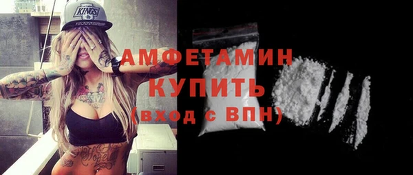 ГАЛЛЮЦИНОГЕННЫЕ ГРИБЫ Богданович