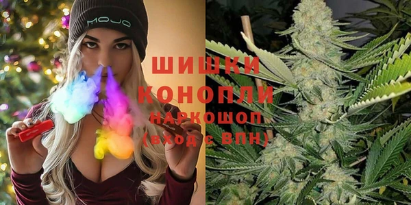 PSILOCYBIN Богородицк