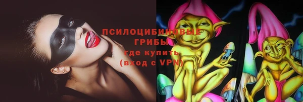 PSILOCYBIN Богородицк