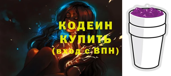 ГАЛЛЮЦИНОГЕННЫЕ ГРИБЫ Богданович