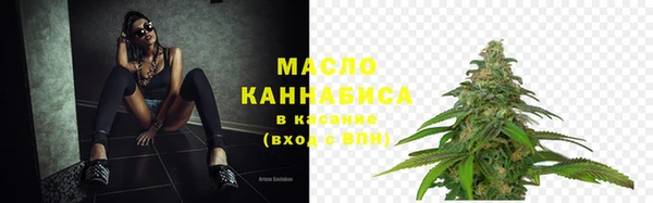 ГАЛЛЮЦИНОГЕННЫЕ ГРИБЫ Богданович