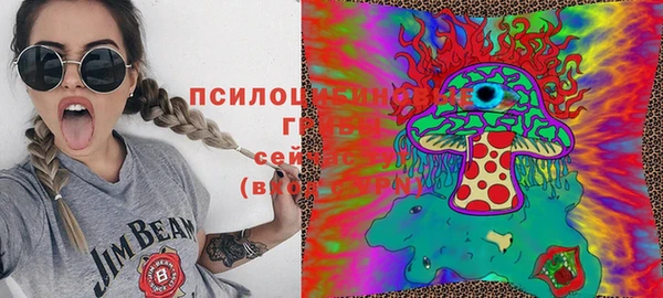 ГАЛЛЮЦИНОГЕННЫЕ ГРИБЫ Богданович