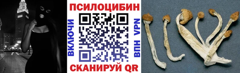 Псилоцибиновые грибы ЛСД  Нестеров 